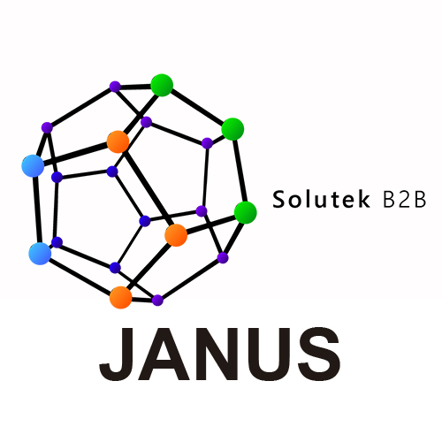 Montaje de Monitores JANUS